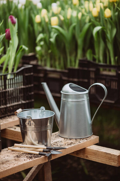 Gardening tools, watering can and straw hat on soil background. Spring garden works concept. Soft selective focus, defocus.