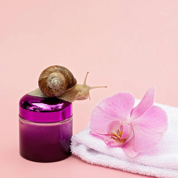 Skin rejuvenation cosmetics on pink background with snail and orchid flower and white towel, snail mucin cream, skin hydration, beauty, health, spa concept. Soft selective focus, copy space.