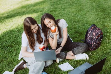 İki mutlu gülümseyen kız öğrenci parkta çimenlerin üzerinde kitaplar ve dizüstü bilgisayarlarla oturuyor, elma yiyor, sınavlara hazırlanıyor ve çalışıyorlar. Uzaktan eğitim. Yumuşak seçici odak.