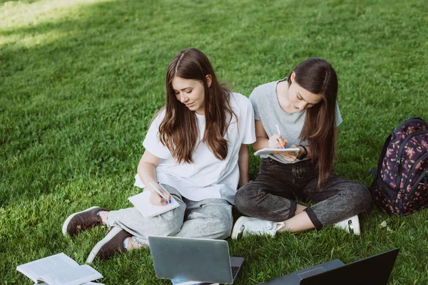 Zwei Studentinnen Sitzen Mit Büchern Und Laptops Park Auf Dem — Stockfoto