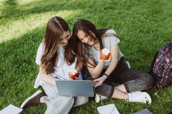 행복하게 여학생들 풀밭에 노트북을 사과를 공부하고 준비를 부드러운 선택적 — 스톡 사진