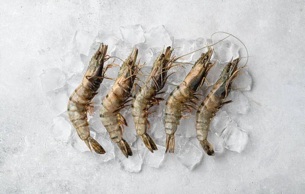 Buzda çiğ kaplan karidesleri