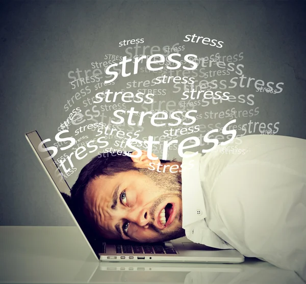 Young desperate business man with head on laptop keyboard — Stock Photo, Image