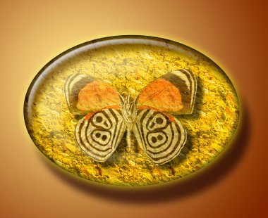 Butterfly in amber stone clipart