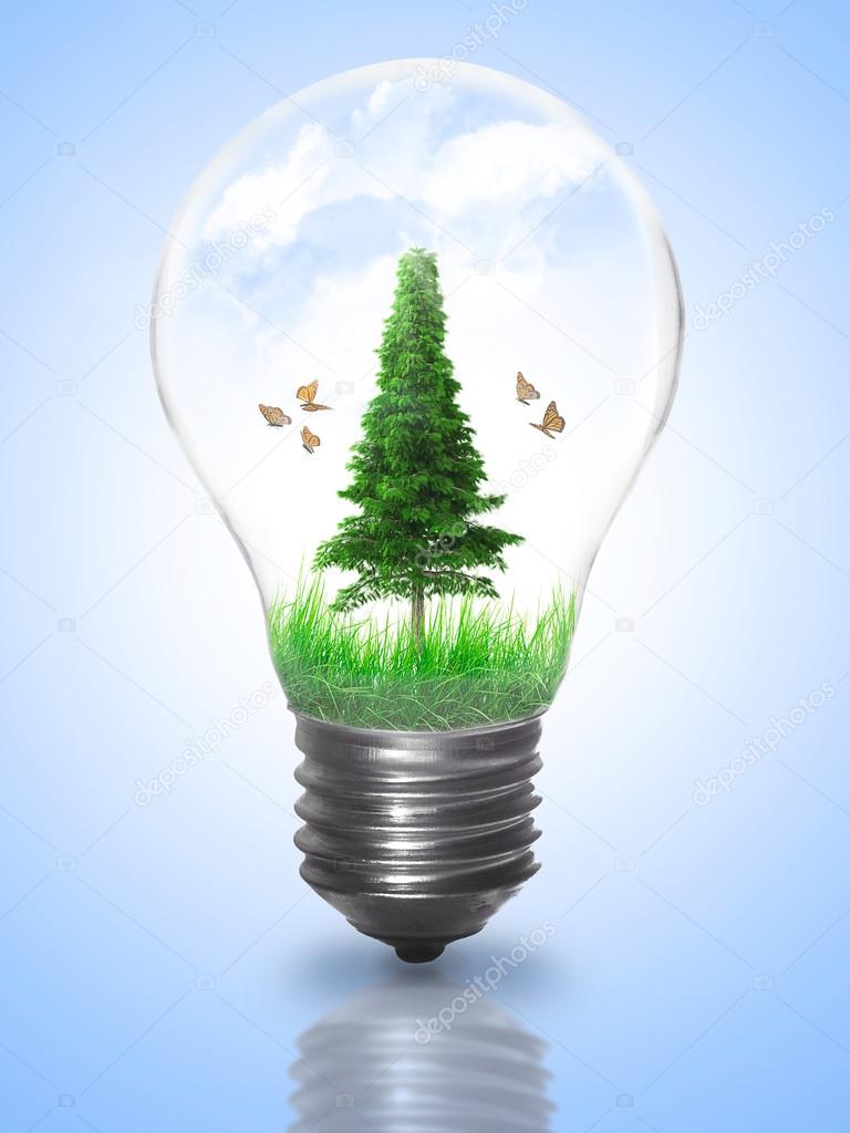 Natural energy concept. Lightbulb with summer meadow, trees and 