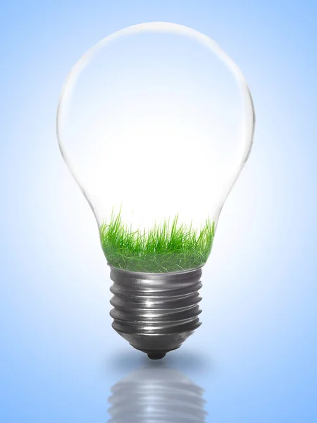 Concept d'énergie naturelle. Ampoule avec prairie d'été, arbres et — Photo