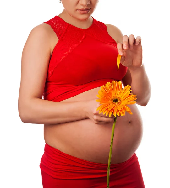 Gravid kvinna med stor mage håller blomma, dra ut kronbladen gissa — Stockfoto