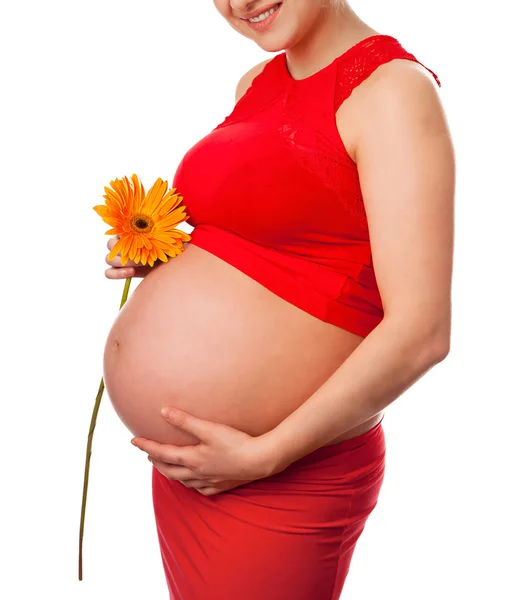 Pregnant woman holding her belly and flower Stock Photo