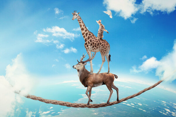 Управление рисками Концепция неопределенности бизнеса
.