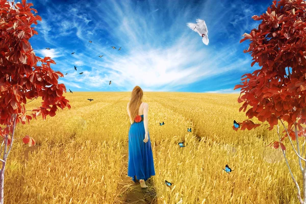 Young barefoot woman in dress standing walking through open wheat field — Stock Photo, Image