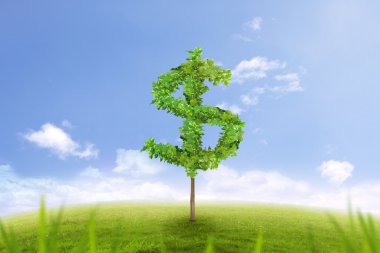 dolar işareti, finansal başarı şeklinde ağaç 