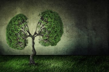 Yeşil ağaç şeklinde insan ciğerleri gibi kavramsal görüntü