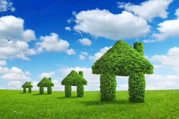 Medio ambiente ecología naturaleza verde hogar integración concepto — Foto de Stock