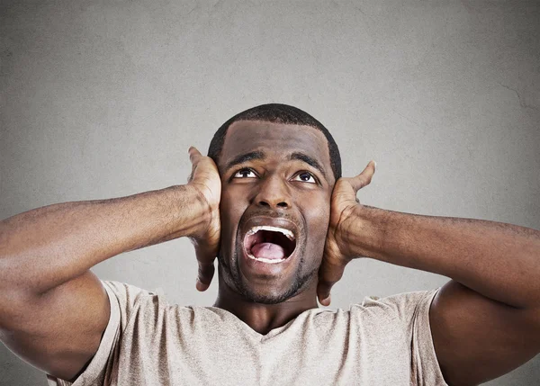 Stressed man squeezing his head, going nuts, screaming — Stock Photo, Image