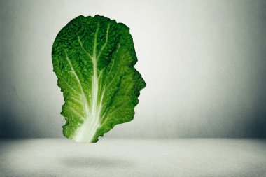 İnsan sağlıklı beslenme kavramı