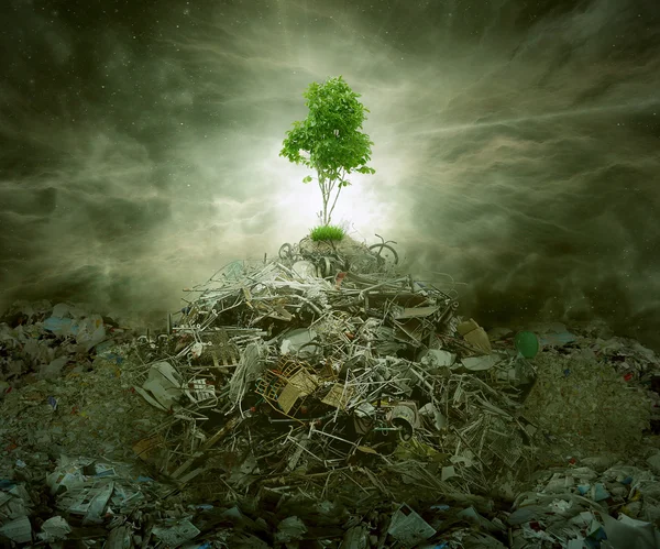 Зеленая концепция как дерево на вершине горы куча мусора — стоковое фото