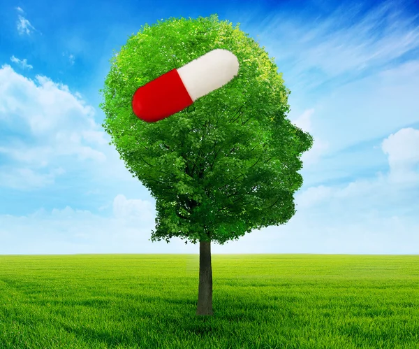 Tree in a shape of side profile human head with pill — Stock Photo, Image