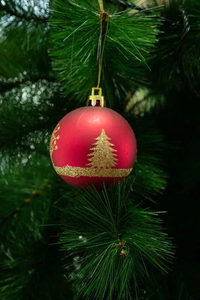 Una Hermosa Bola Roja Adornando Árbol Navidad —  Fotos de Stock