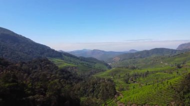 Hindistan 'ın güneyindeki Kerala eyaletindeki Munnar' ın güzel çay arazilerinin ve manzarasının insansız hava aracı görüntüsü..