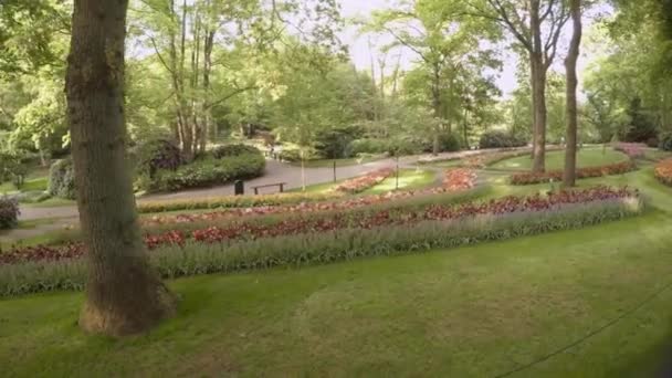 アムステルダム オランダの庭園で美しく 幅広いチューリップや他の開花植物を散策 — ストック動画