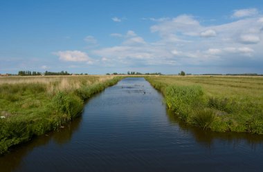 Kenarlarında yeşil tarlalar ve Hollanda 'daki Zaanse tarlalarında kabarık bulutlu mavi bir gökyüzü manzarası..