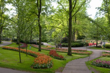 Hollanda, Amsterdam 'da güzel bir lale bahçesinde gezinen patikalar..
