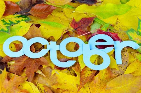 Widok Góry Słowo Październik Niebieskimi Literami Tle Spadających Jesiennych Liści — Zdjęcie stockowe