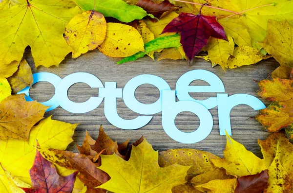 Top View Word October Blue Letters Wooden Background Fallen Autumn — Stock Photo, Image