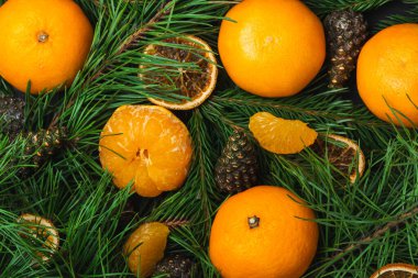 Çam dalları ve kozalaklarla soyulmuş mandallar. Yukarıdan görüntüle