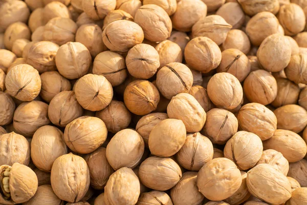 Cevizler dümdüz yatıyordu. Özetle, fındıklı arkaplan ücretsiz metin kopyalama alanı. Vegan vejetaryen diyet yemeği, sağlıklı süper yiyecek konsepti. Üst görünüm