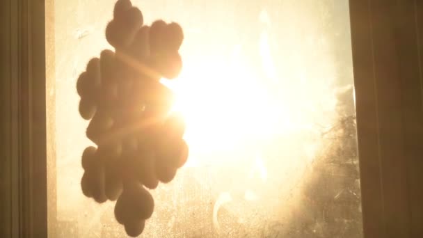 Красиві Кристали Льоду Формі Сніжинки Вікні Світлим Тлом Макро Концепція — стокове відео