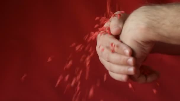 Corazón Rojo Escarlata Forma Confeti Azúcar Desmoronándose Cayendo Las Manos — Vídeo de stock
