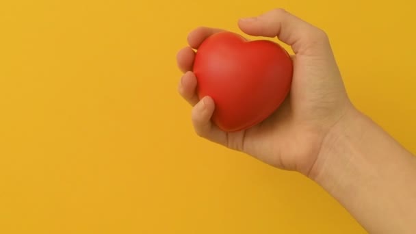 女孩或年轻女性的手紧紧抓住红色的抗压心脏玩具 浪漫的爱情 平静与和平 圣瓦伦丁节准备设计理念 捐款准备工作 — 图库视频影像