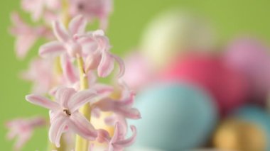 Pembe, altın ve yeşil renkte renkli Paskalya yumurtaları pembe ve mor sümbül çiçekleriyle bulanık yeşil arka planda dönen samanların üzerinde yatar. Bahar Hıristiyan bayramı tasarım konsepti