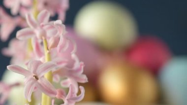 Pembe, altın ve yeşil renkte renkli Paskalya yumurtaları pembe ve mor sümbül çiçekleriyle bulanık yeşil arka planda dönen samanların üzerinde yatar. Bahar Hıristiyan bayramı tasarım konsepti