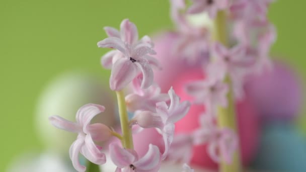 Colorate Uova Pasqua Colore Rosa Dorato Verde Giacciono Paglia Girando — Video Stock