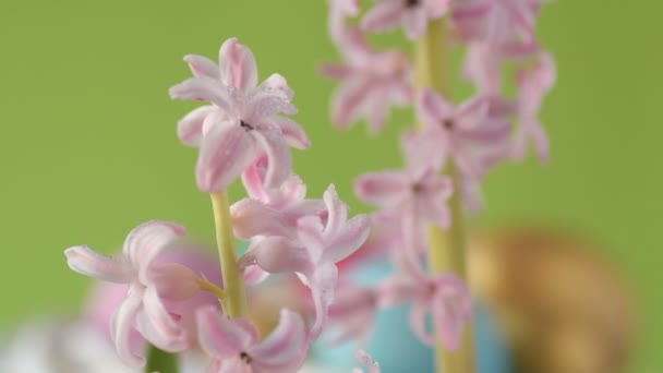 Colourful Easter Eggs Pink Golden Green Colour Lie Straw Spinning — Stock Video