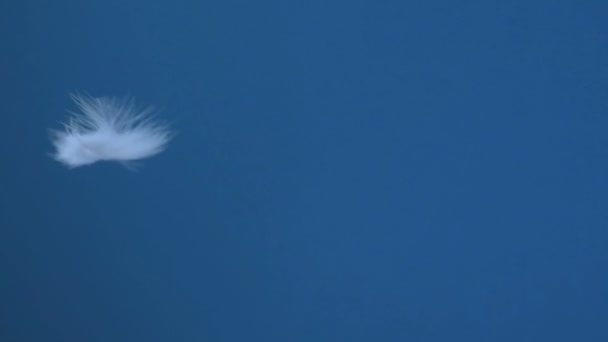 白色的羽毛缓缓地落在蓝天的背景上 春节假期设计理念 自由理念 慢动作 — 图库视频影像