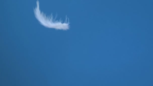 Αργή Πτώση Των Λευκών Φτερών Πάνω Ένα Γαλάζιο Ουρανό Φόντο — Αρχείο Βίντεο