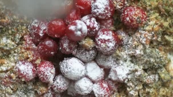 Bolo Vegan Com Espinafre Decorado Com Cranberry Lentamente Girando Ficando — Vídeo de Stock