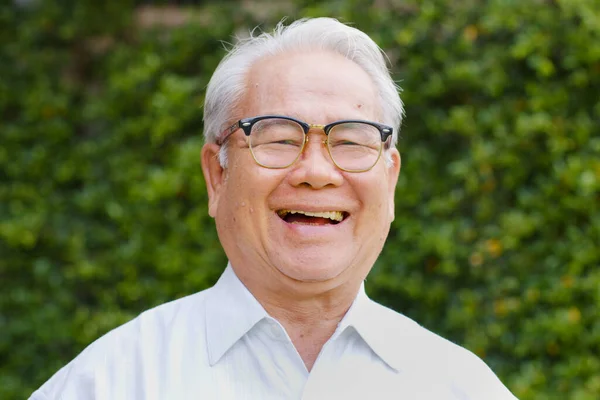 Portrait Happy Asian Senior Man Look Camera Smile Laugh Royalty Free Stock Images