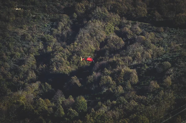 Kırmızı bir acil durum görüntüsü ya da ağaçlardan oluşan kalın bir gölgeliğin üzerinde süzülen gözetleme helikopteri. Dağ kurtarma, orman yangını önleme ve ıssız yerlerde hava ulaşımı kavramı.