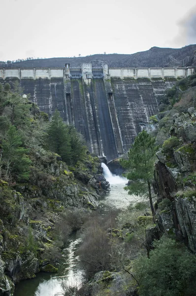 Büyük beton hidroelektrik baraj kayalık bir nehir yatağına su akıntısı salıyor. Altyapı, çam ağaçlarıyla çevrili vahşi bir dağ manzarasıyla çevrilidir. Yenilenebilir enerji kavramı, su kaynağı yönetimi ve inşaat mühendisliği