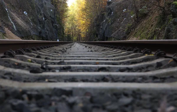 線路は秋になると — ストック写真