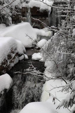 Şelale ağaçların arasında donmuş buz saçakları arasında saklı.