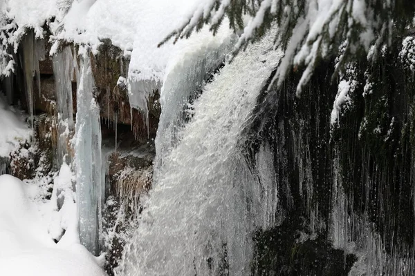 Vodopád Ukrytý Lese Mezi Větvemi Zmrzlými Rampouchy Vody — Stock fotografie