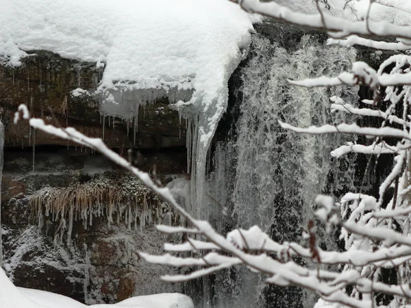 Waterval Verborgen Het Bos Tussen Takken Met Bevroren Ijspegels Van — Stockfoto