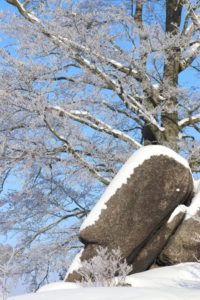 Şafak vakti kar ve buz saçaklarıyla