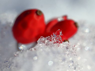 Böğürtlen meyvelerinin makrosu kardaki buz kristallerinde