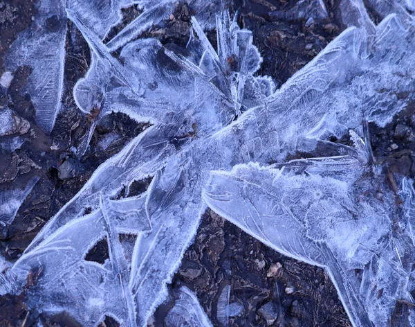 Bir meleğe ya da tek boynuzlu ata benzeyen soyut şekillerden oluşan donmuş bir su birikintisinin yakın çekimi.